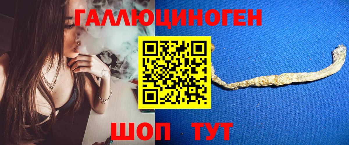 Галлюциногенные грибы Psilocybine cubensis Менделеевск