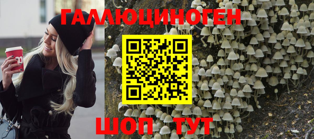 Менделеевск  Галлюциногенные грибы ЛСД  Вход с VPN 